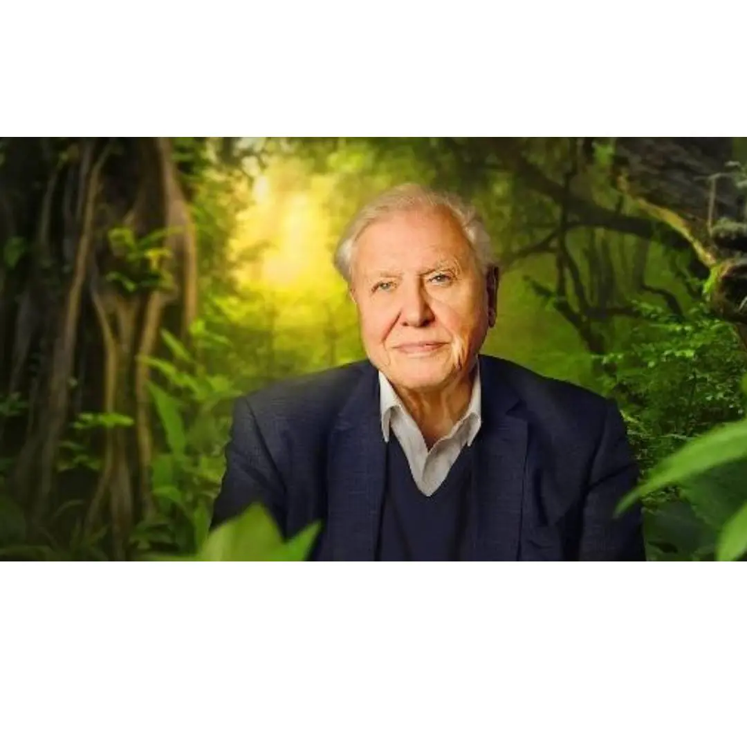 An elderly man in a suit stands in a lush, green forest with sunlight filtering through trees.