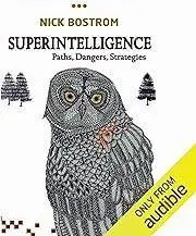 Cover of 'Superintelligence' by Nick Bostrom featuring an illustrated owl.